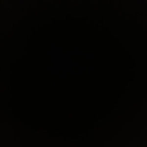 Meet your Posher, Jaylen